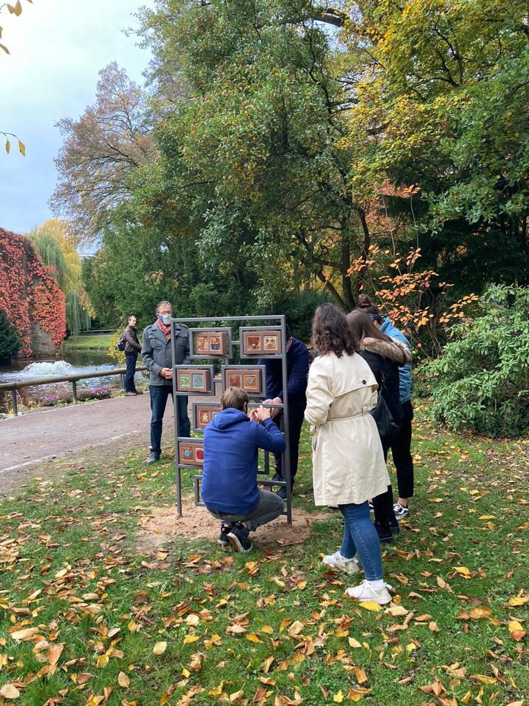 Baum Der Erinnerung Pflanzen